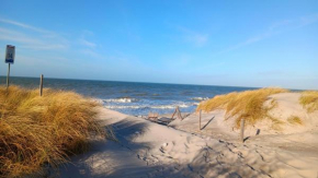 Fewo Muschel incl Kurkarte Parkplatz und strandnah in Ahrenshoop